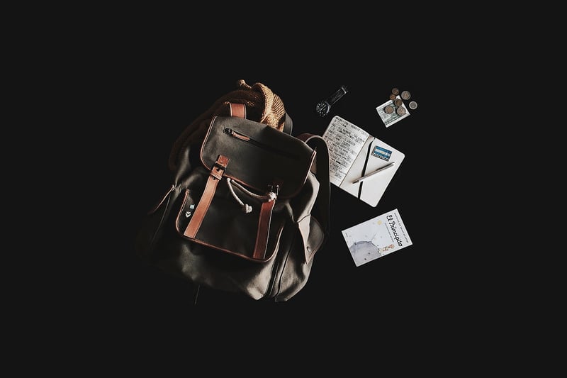 Travel Diaries